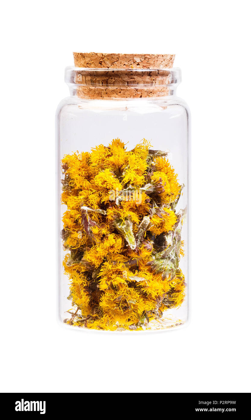 Dried flowers coltsfoot Tussilago farfara in a bottle. Stock Photo
