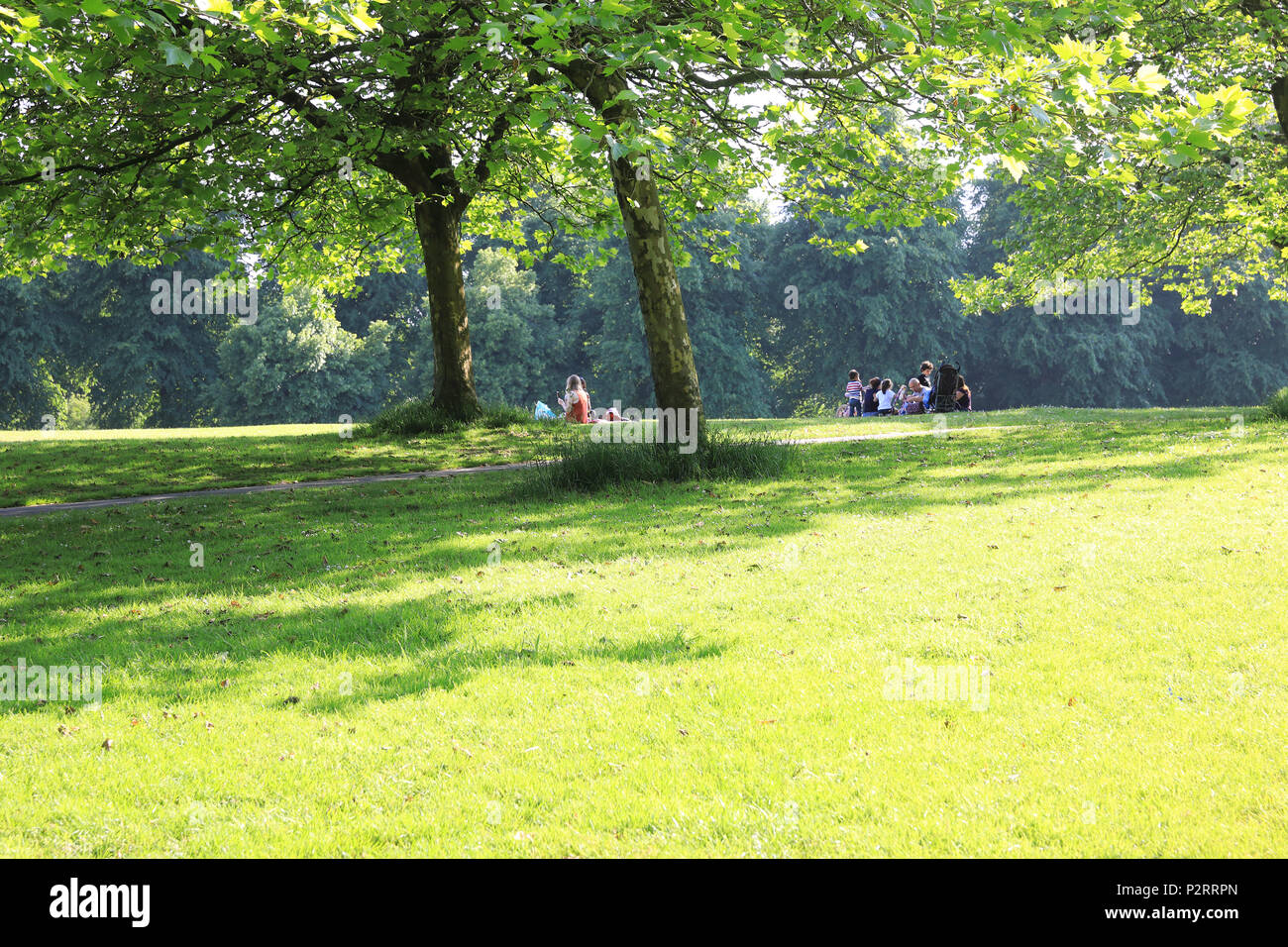 Sefton Park, a lovely, historical park in Liverpool, on Merseyside, in