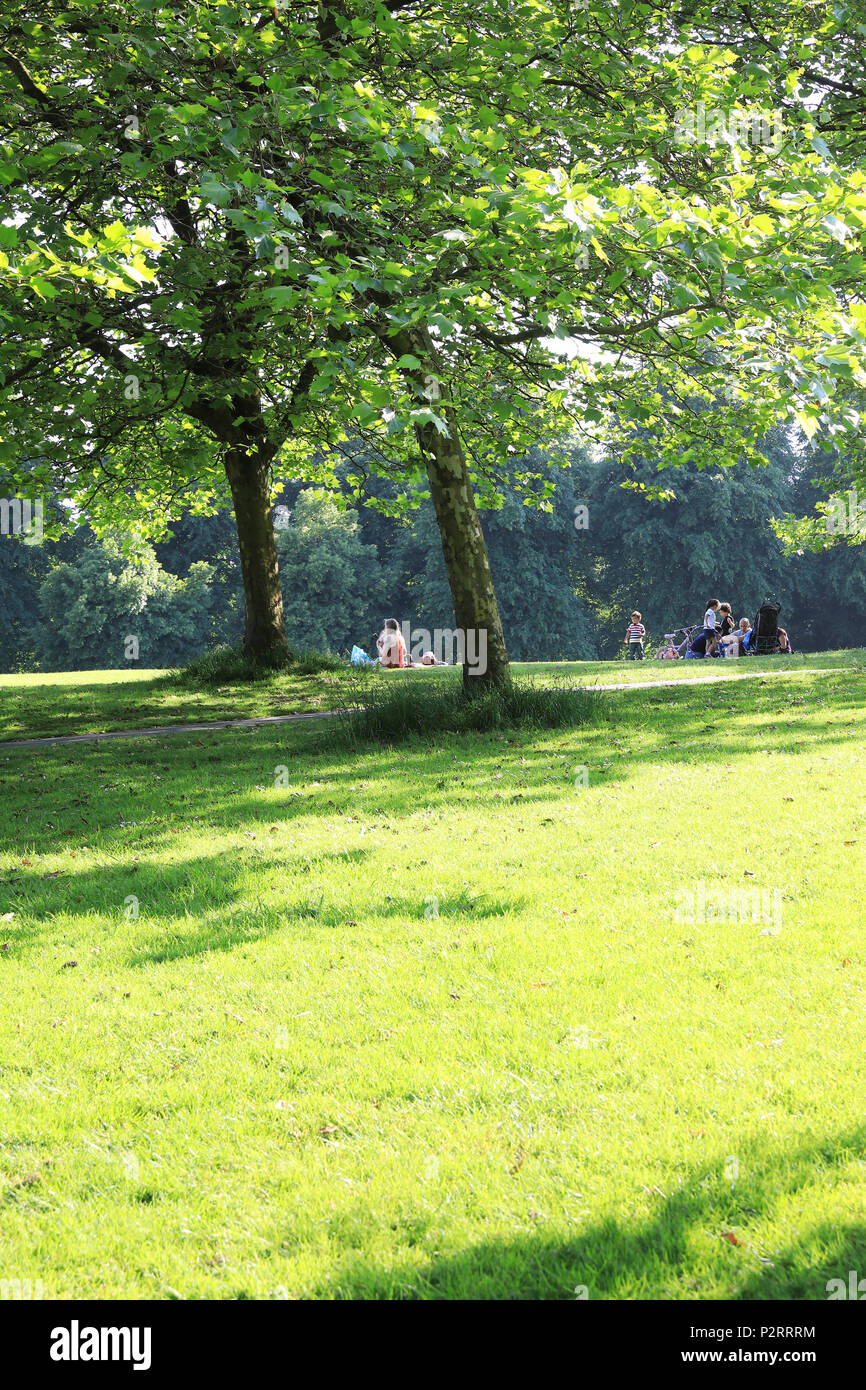 Sefton Park, a lovely, historical park in Liverpool, on Merseyside, in