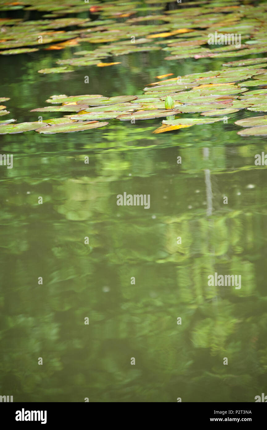 Lake sandoval wildlife hires stock photography and images Alamy