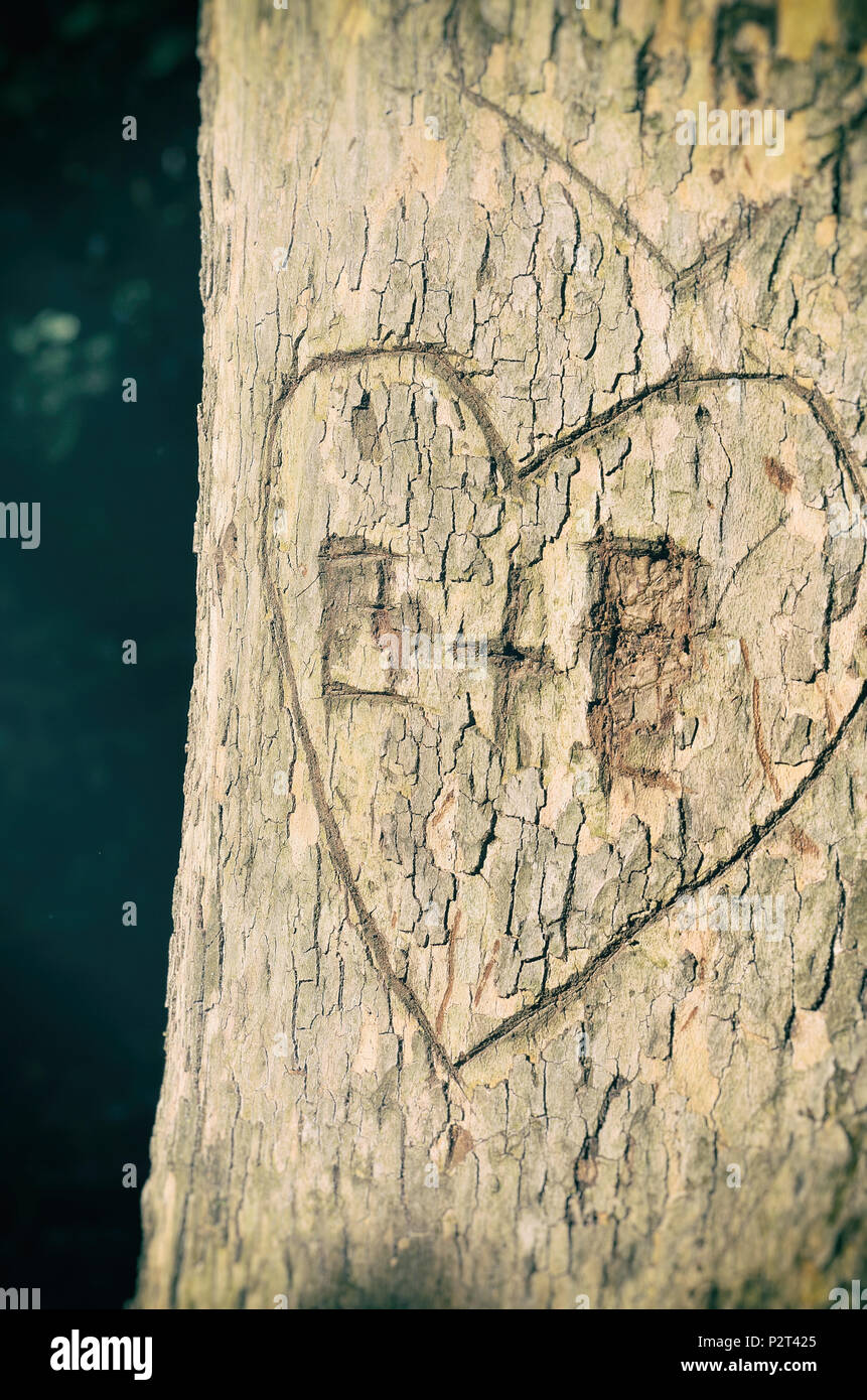 initials and a heart carved into a tree Stock Photo