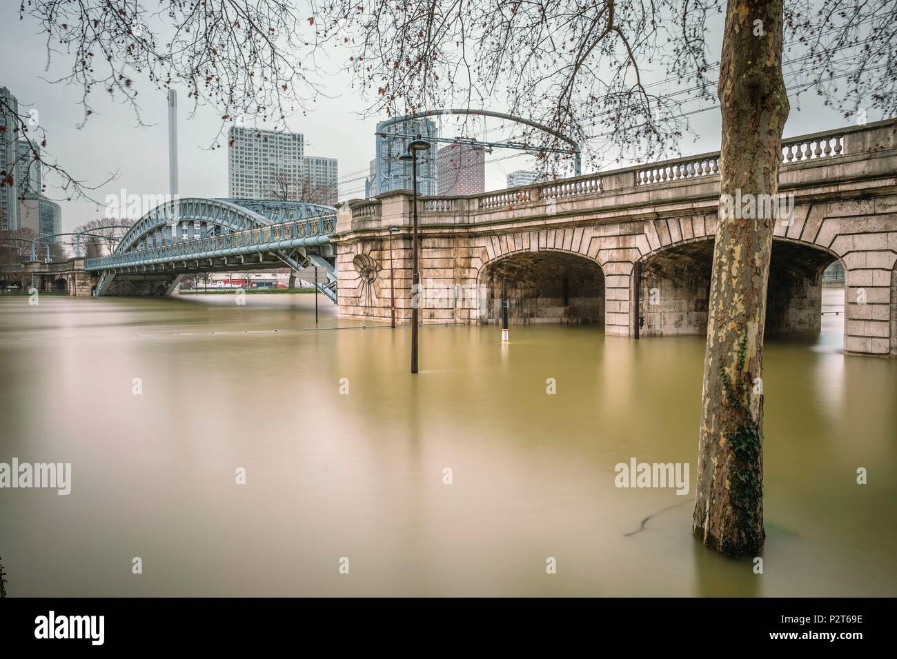 France, Paris, the banks of the Seine river listed as World Heritage by UNESCO, flood of the Seine river (january 2018), Rouelle bridge, railway viaduct of the RER line C crossing the Ile aux Cygnes Stock Photo