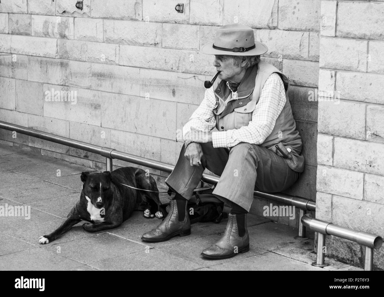 A senior man,with a pipe in his mouth, sat down outside a shop with his old dog by his side at Barnard Castle,England,UK. In monochrome. Stock Photo