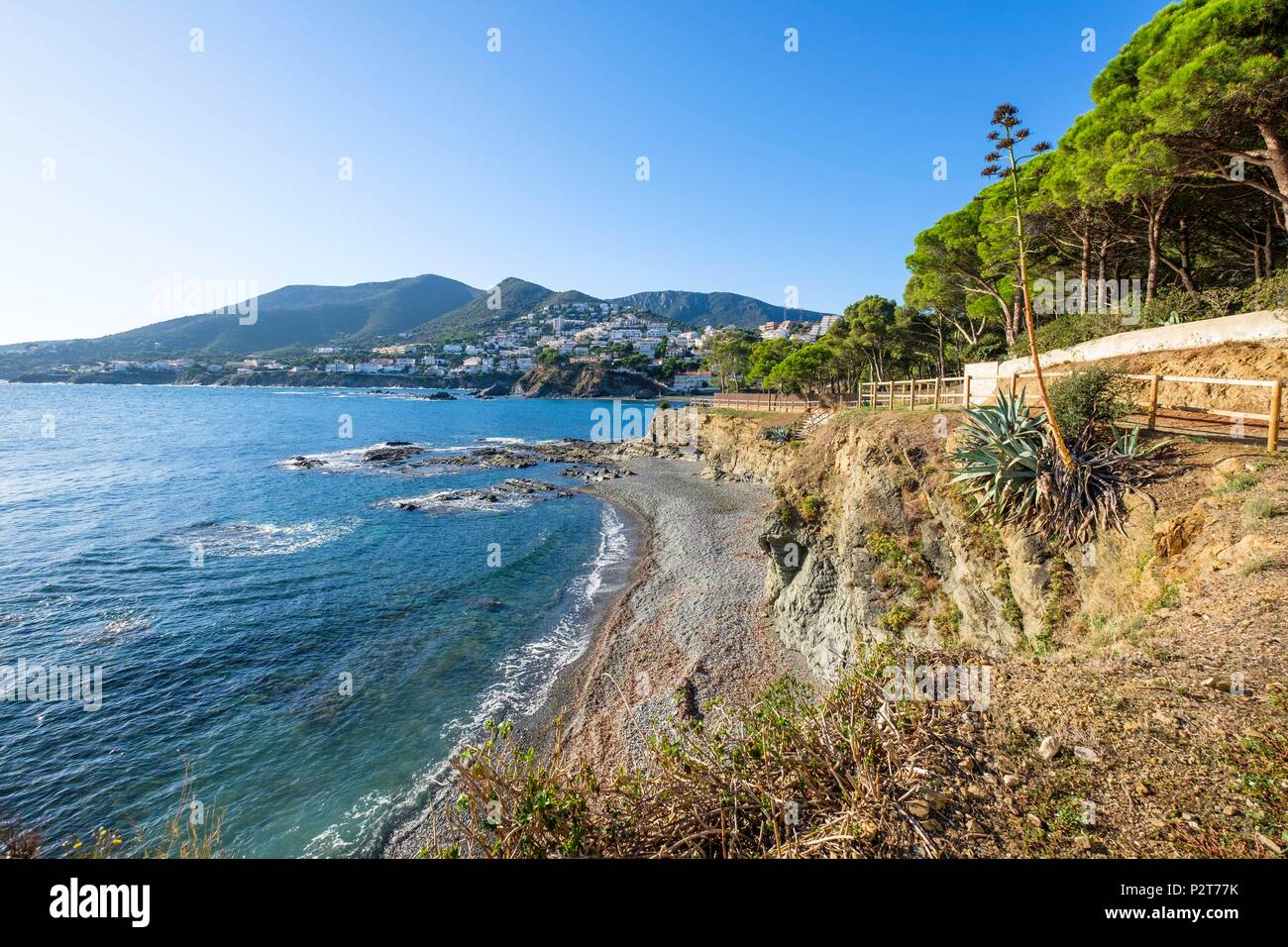 Spain, Catalonia, hiking from Llança to Port de la Selva on the GR 92 ...
