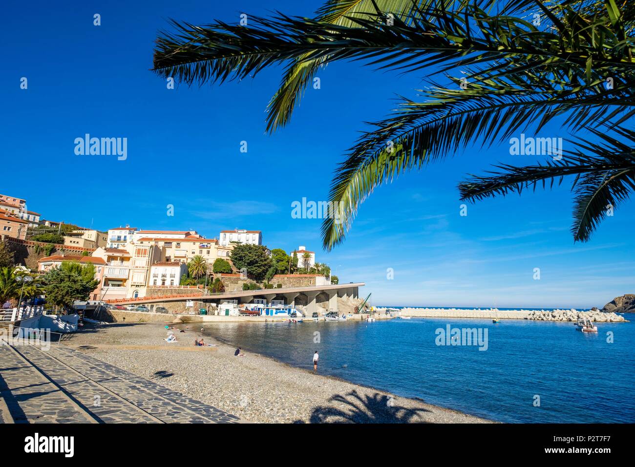 pix Cerbere Pyrenees Orientales France https www alamy com france pyrenees orientales cote vermeille cerbere the harbour and the beach of the village image208286491 html