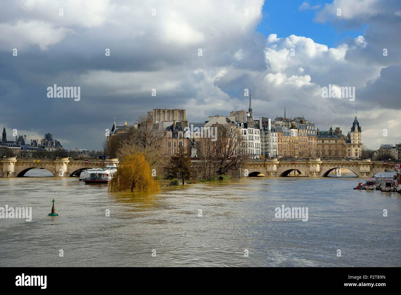 France, Paris, area listed as World Heritage by UNESCO, Pont Neuf on the Seine river and the Ile de la Cite during the flood of the Seine of January 2018 Stock Photo