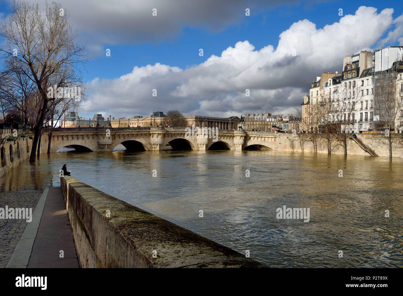 France, Paris, area listed as World Heritage by UNESCO, the flood of the Seine of January 2018, Pont Neuf and Seine river Stock Photo