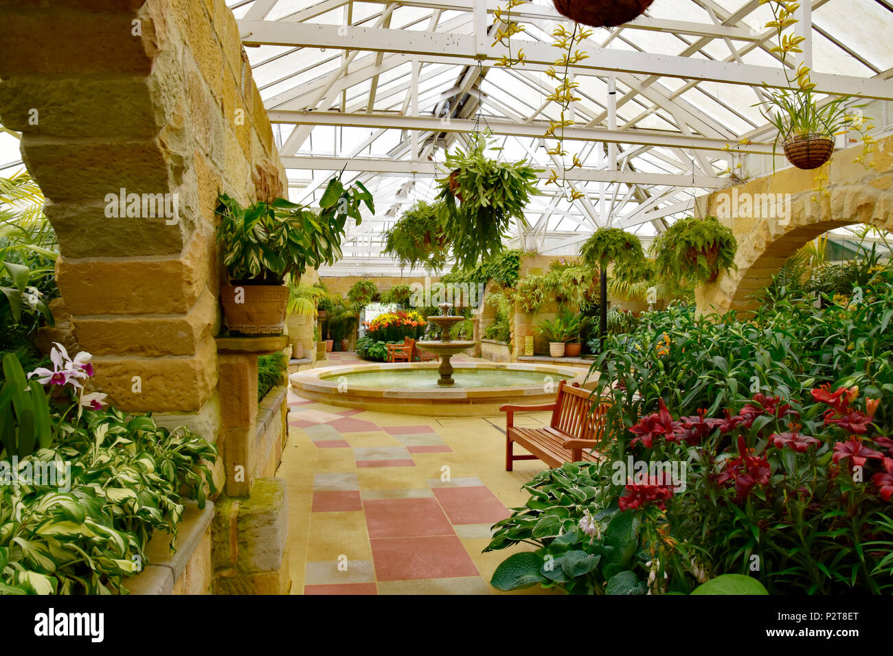 HOBART BOTANICAL GARDENS Stock Photo Alamy