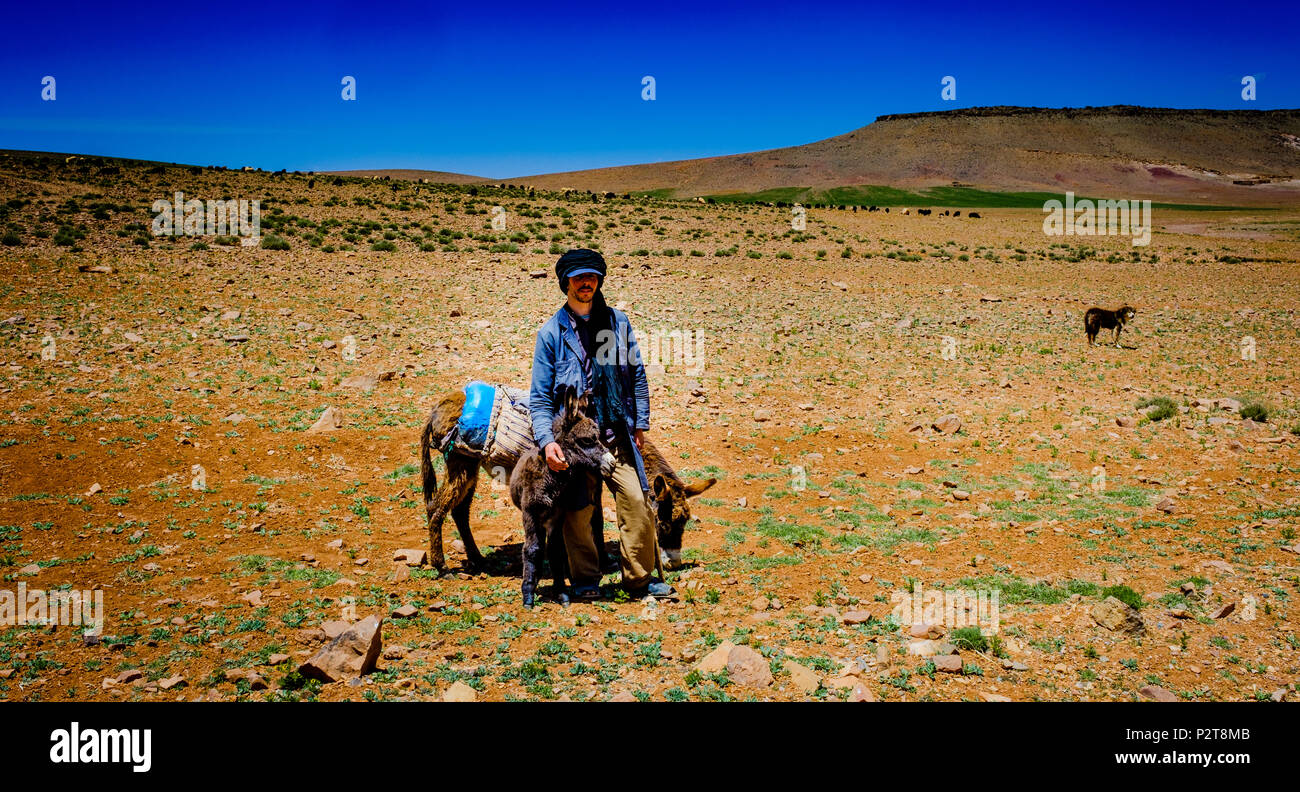 A shepherd with his donkeys looking after a flock of goats and sheep in ...