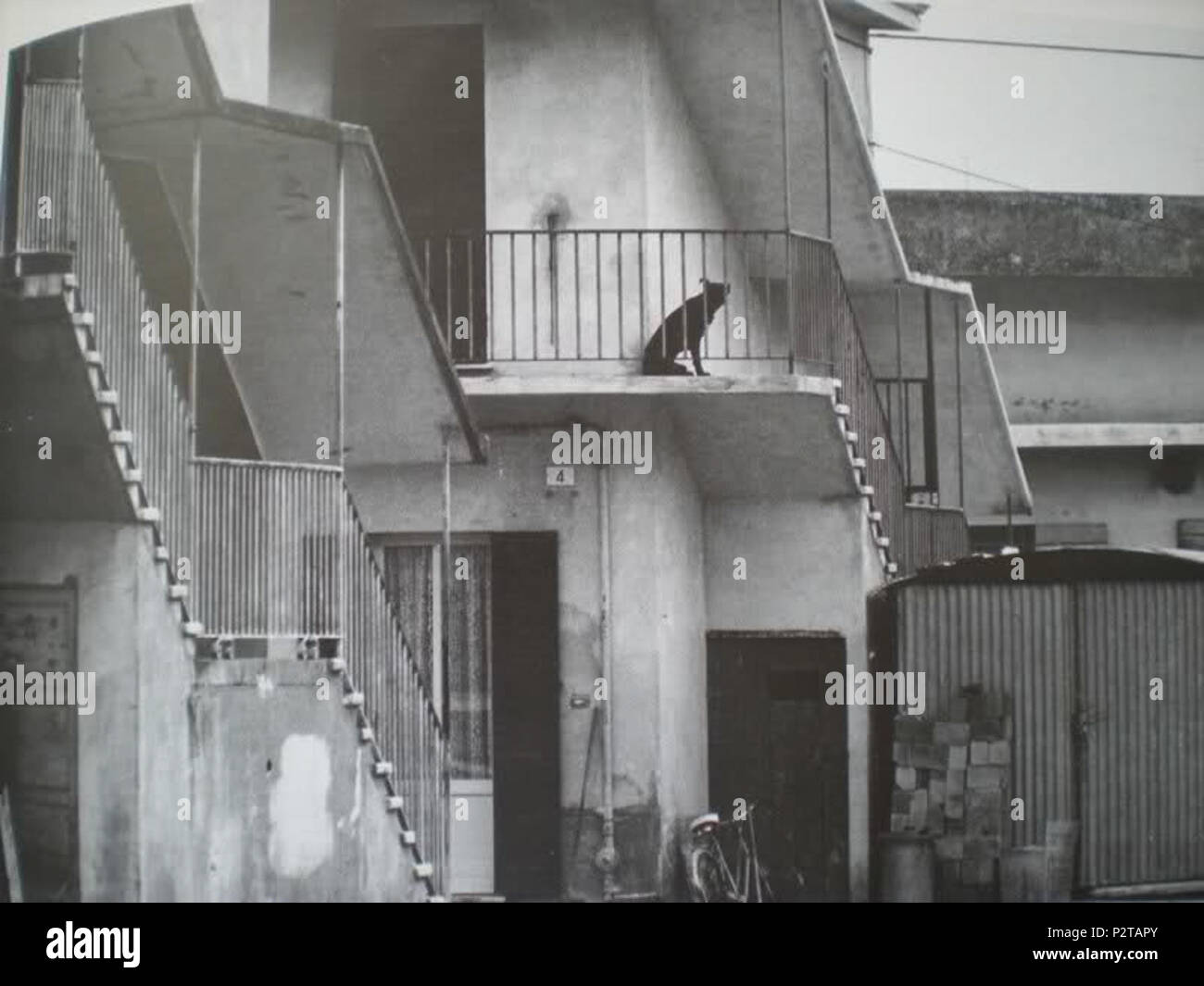 . English Nuovo' (Verona, Italy), in a photograph of 1970. The