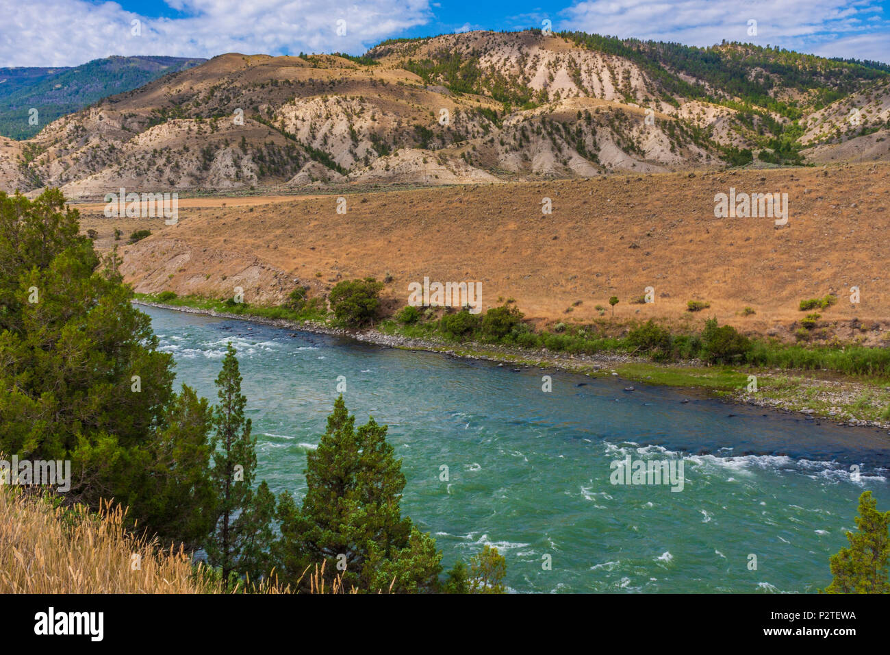 Yellowstone River in Southwest Montana along scenic highway 89. The Yellowstone is the last free flowing river in the lower 48 states. Stock Photo