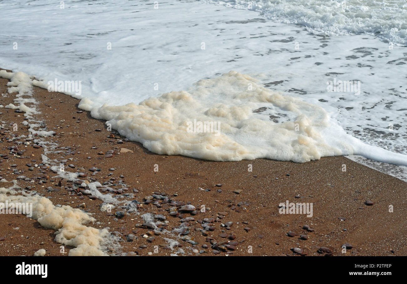 Foam on the beach Stock Photo Alamy