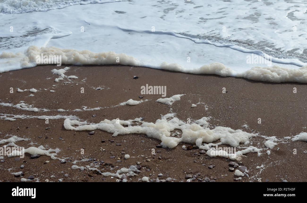 Foam on the beach Stock Photo Alamy