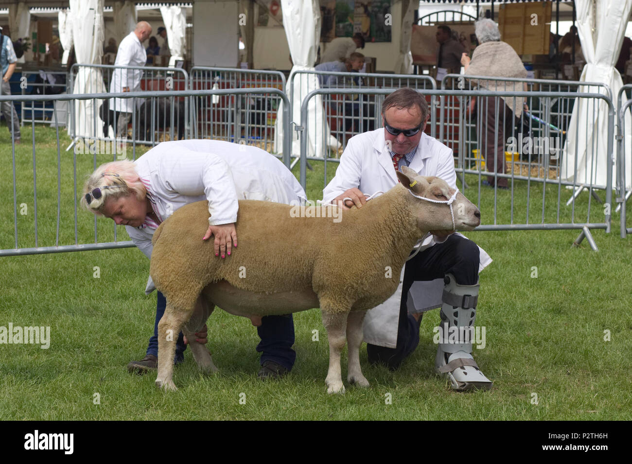 Getting the boot hi-res stock photography and images - Alamy