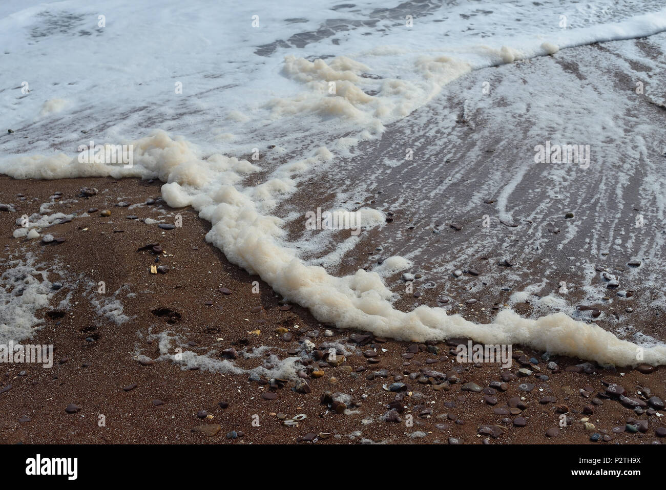 Foam on the beach Stock Photo Alamy