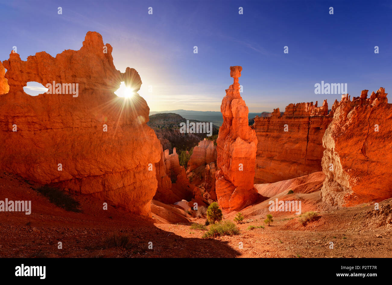 Thor's hammer in Bryce Canyon National Park in Utah USA at sunrise. Stock Photo