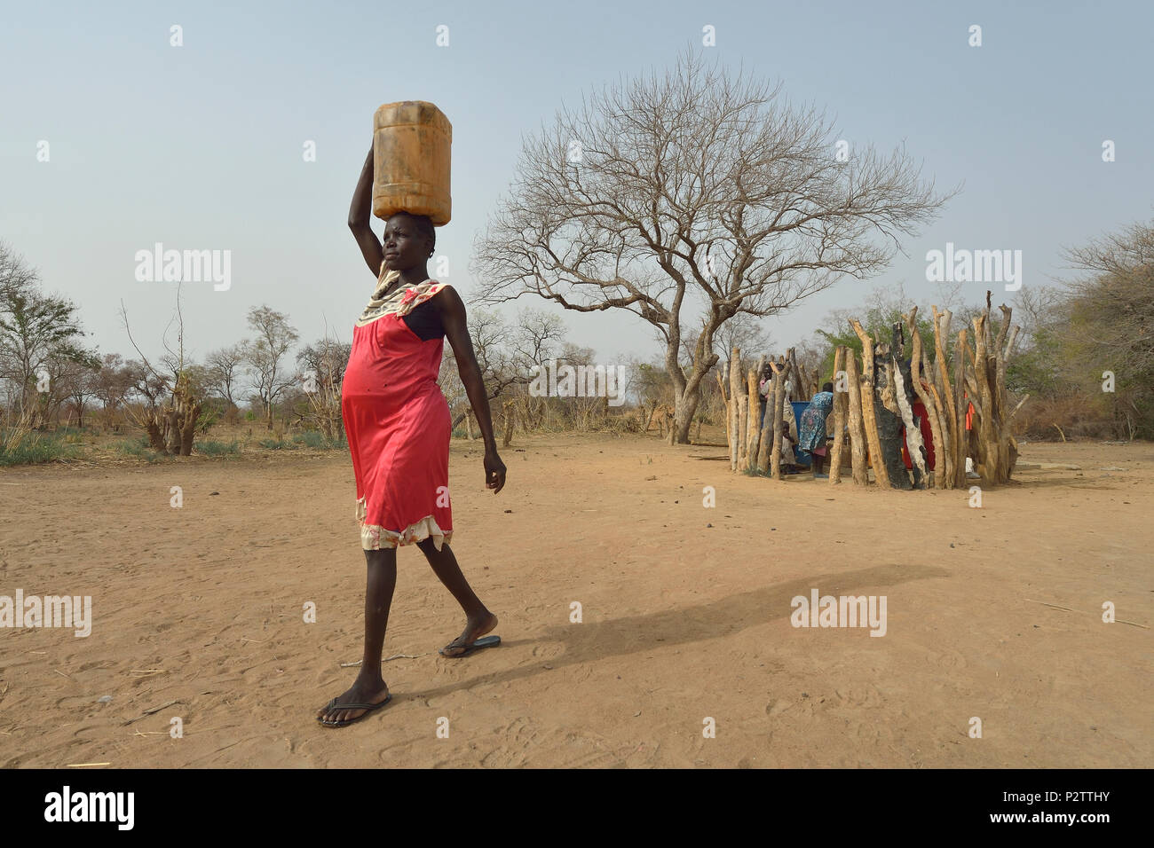Mary Kuol carries water home from a well dug by the ACT Alliance in Yang Kuel, a village in South Sudan's Lol State plagued by a persistent drought. Stock Photo