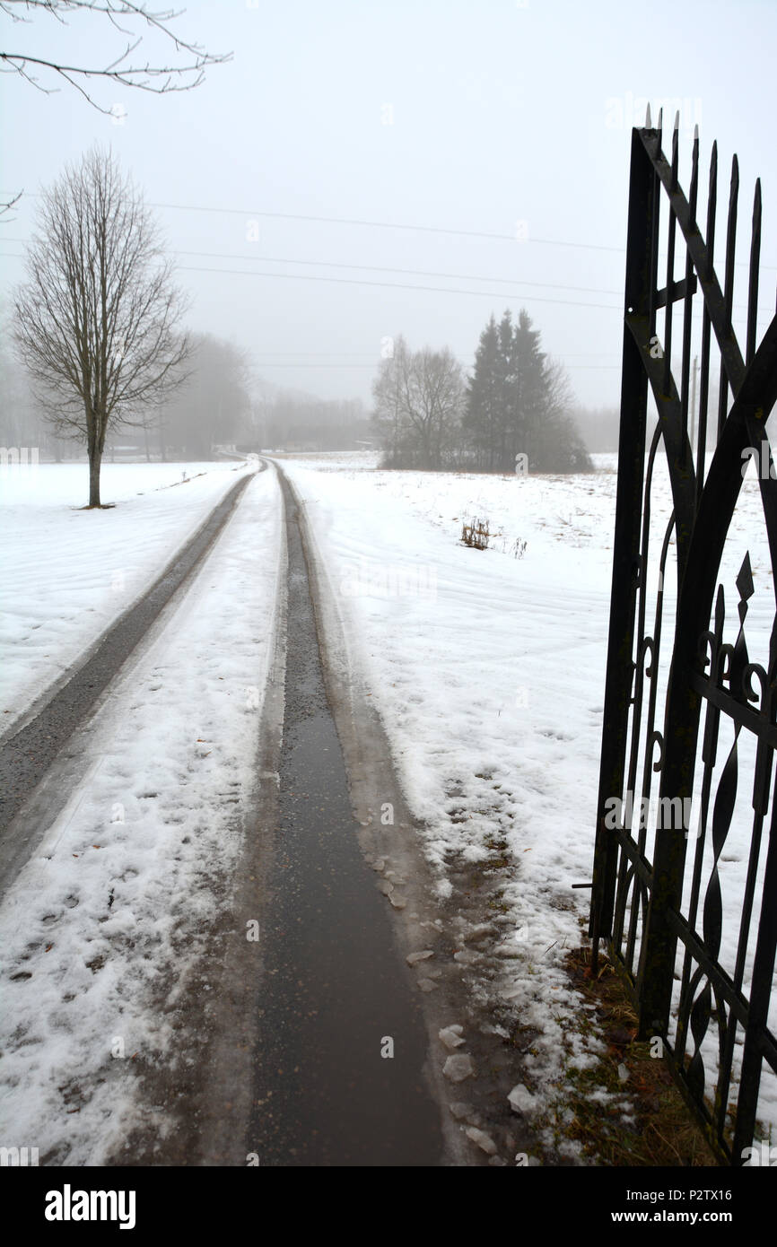 Open Old metal gate and park road in winter mist Stock Photo