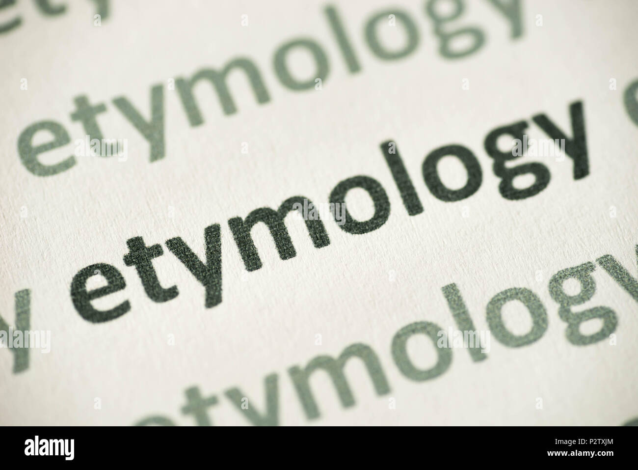 word etymology  printed on white paper macro Stock Photo