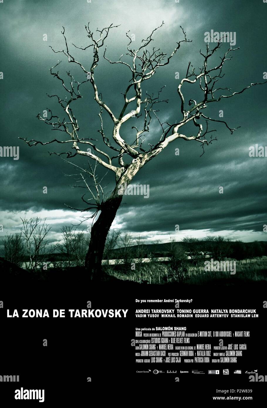 Original Film Title: LA ZONA DE TARKOVSKY.  English Title: LA ZONA DE TARKOVSKY.  Film Director: SALOMON SHANG.  Year: 2008. Stock Photo