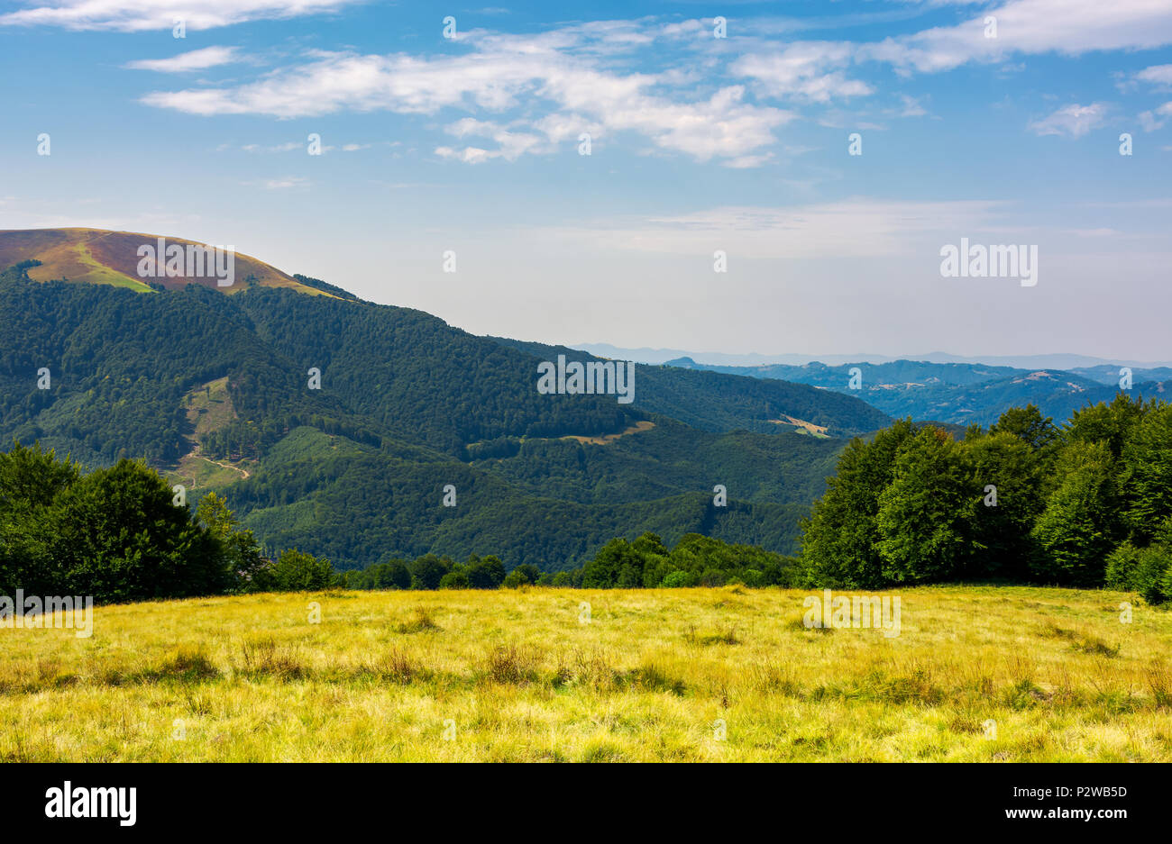 grassy meadow on top of a hill. beautiful summer landscape with high mountain in the distance Stock Photo