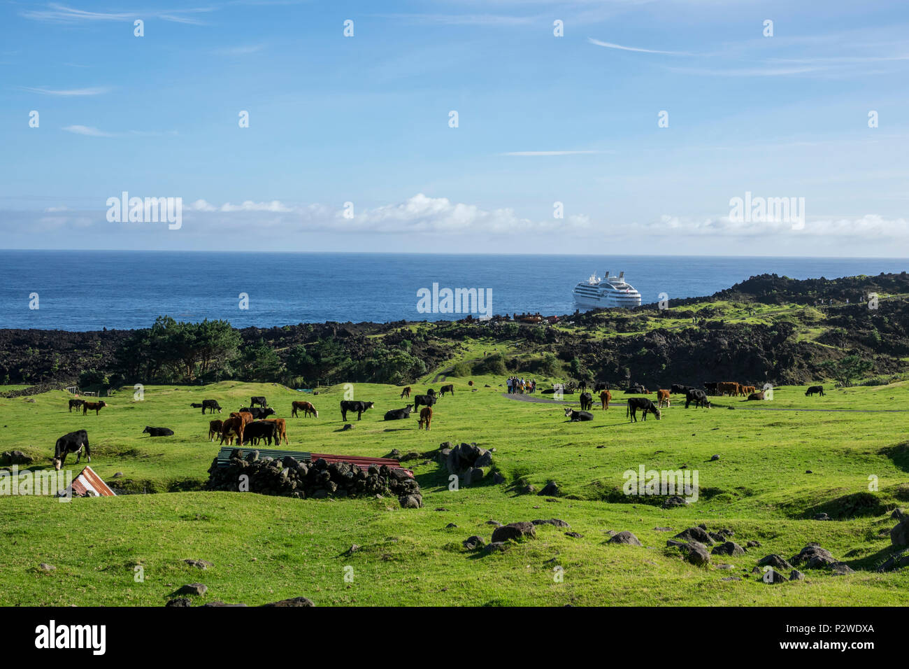 Tristan da Cunha, British Overseas Territories, South Atlantic Ocean Stock Photo