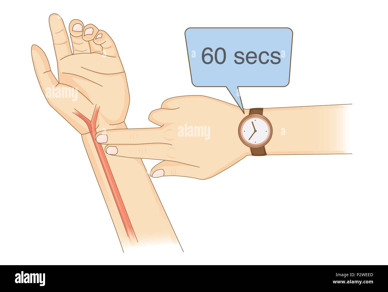 Checking Your Heart Rate Manually with place two fingers and wristwatch. Stock Vector