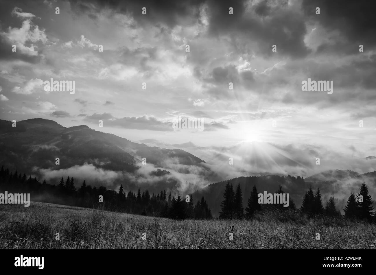 The sun is shiny Black and White Stock Photos & Images - Alamy