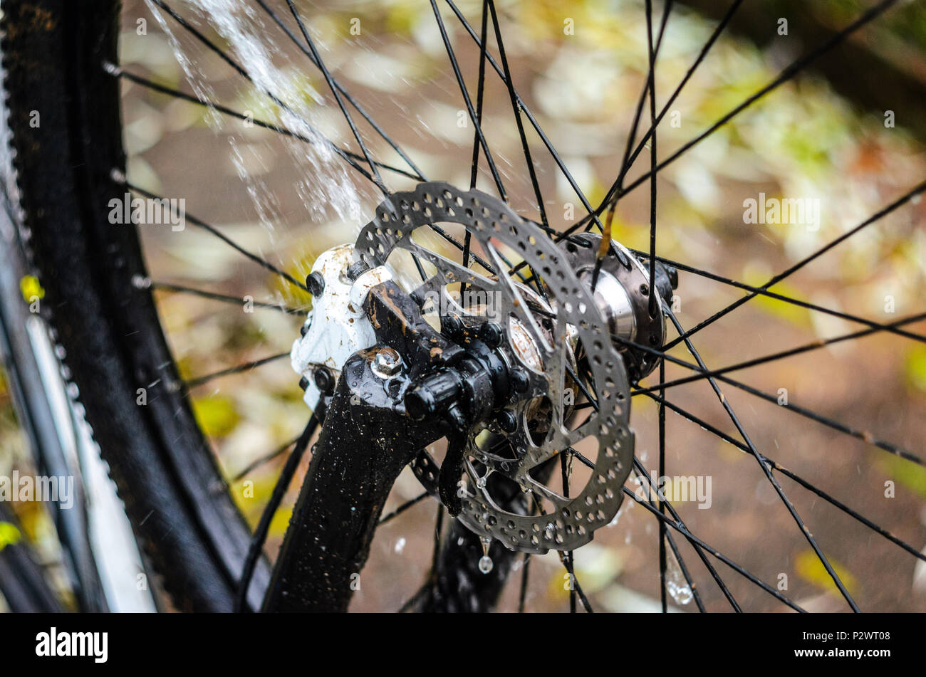 Mountain Bike Washing with a Water Jet, Close-Up. Front Brake Area. Front Brake Caliper of White Color Stock Photo