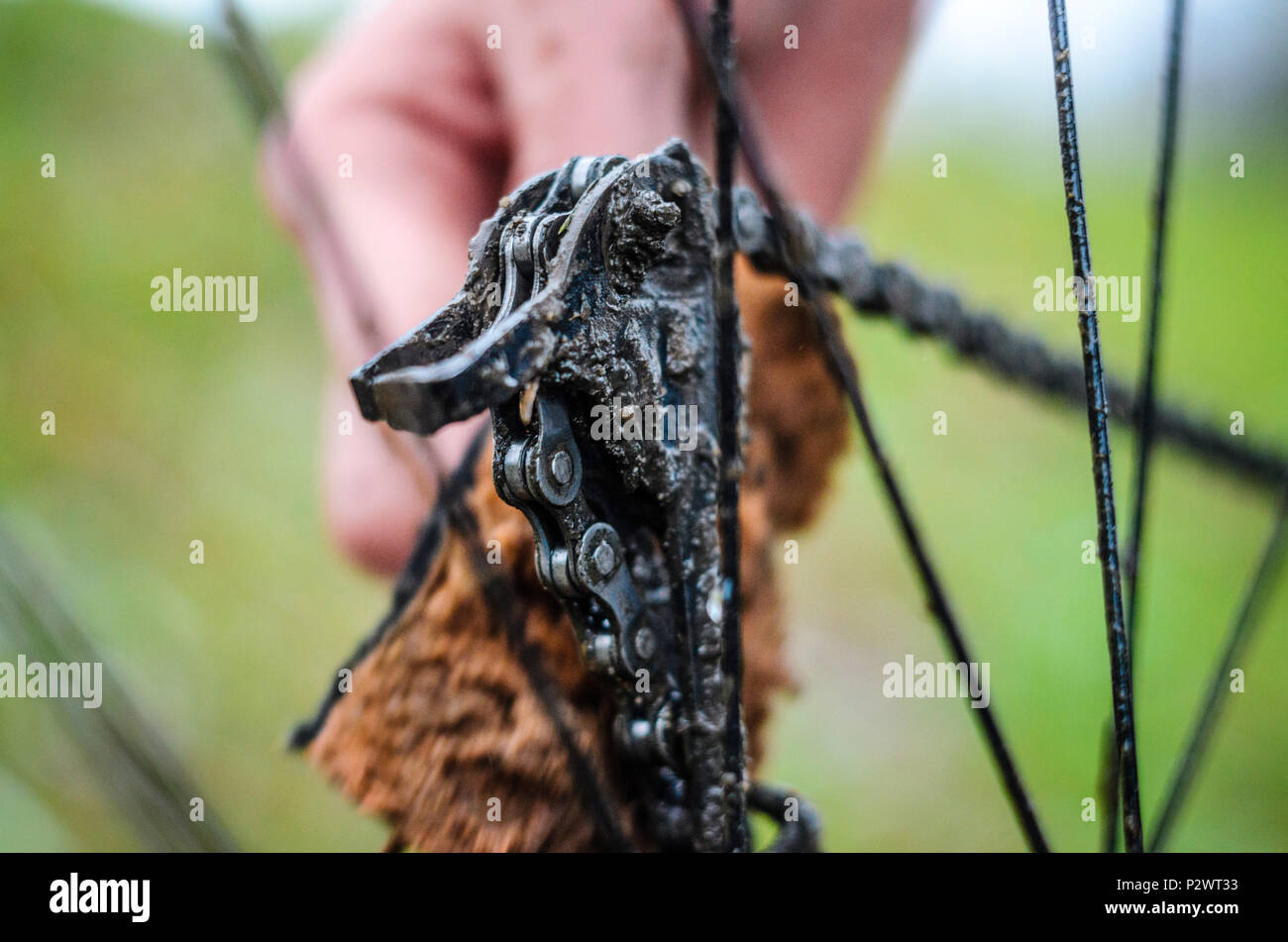 Cleaning the Transmission of a Mountain Bike. Hand with Sponge Clean
