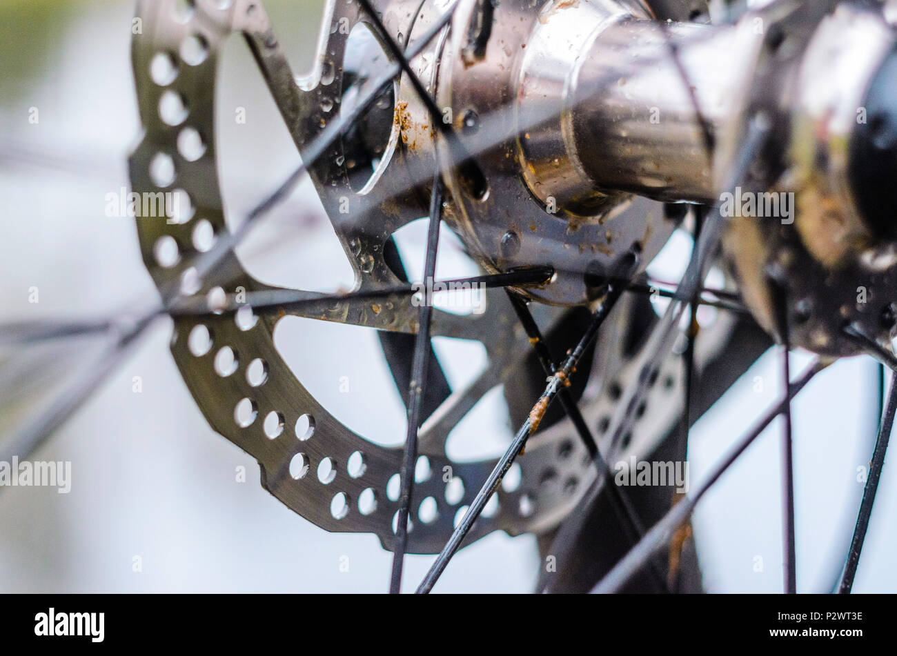 mountain bike rotor