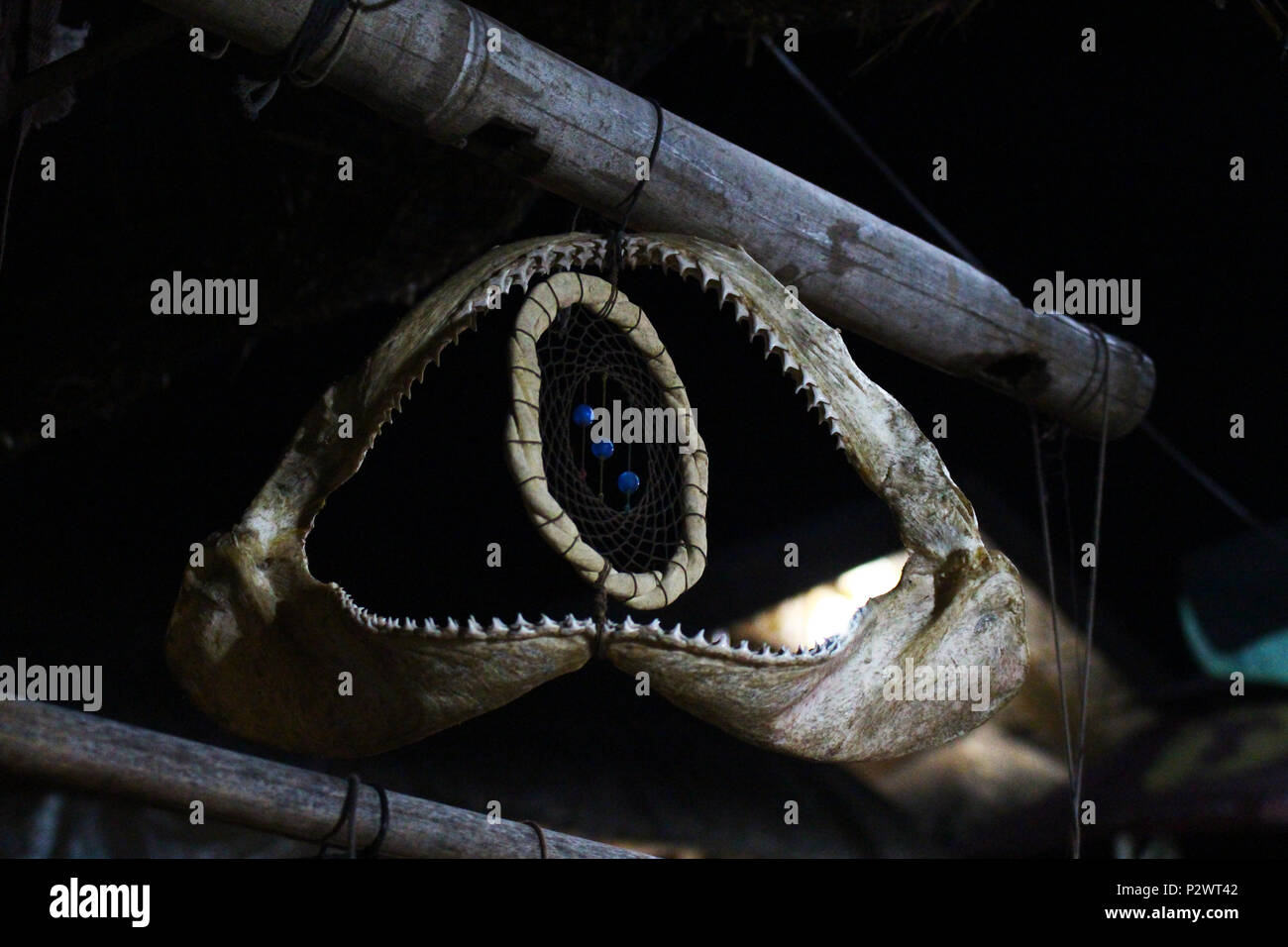 Shark complete jaws decoration Stock Photo - Alamy