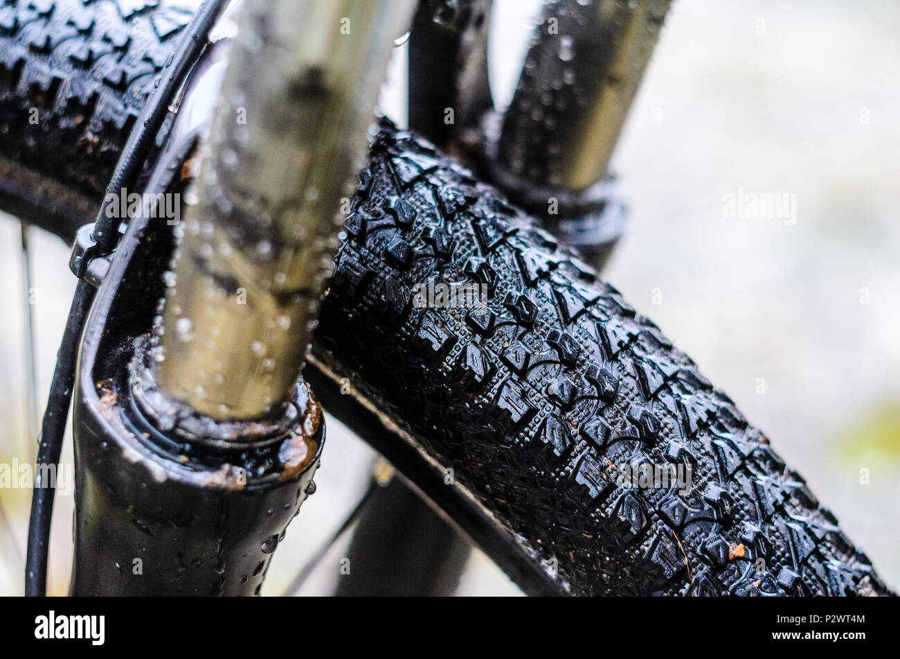 mountain bike suspension oil