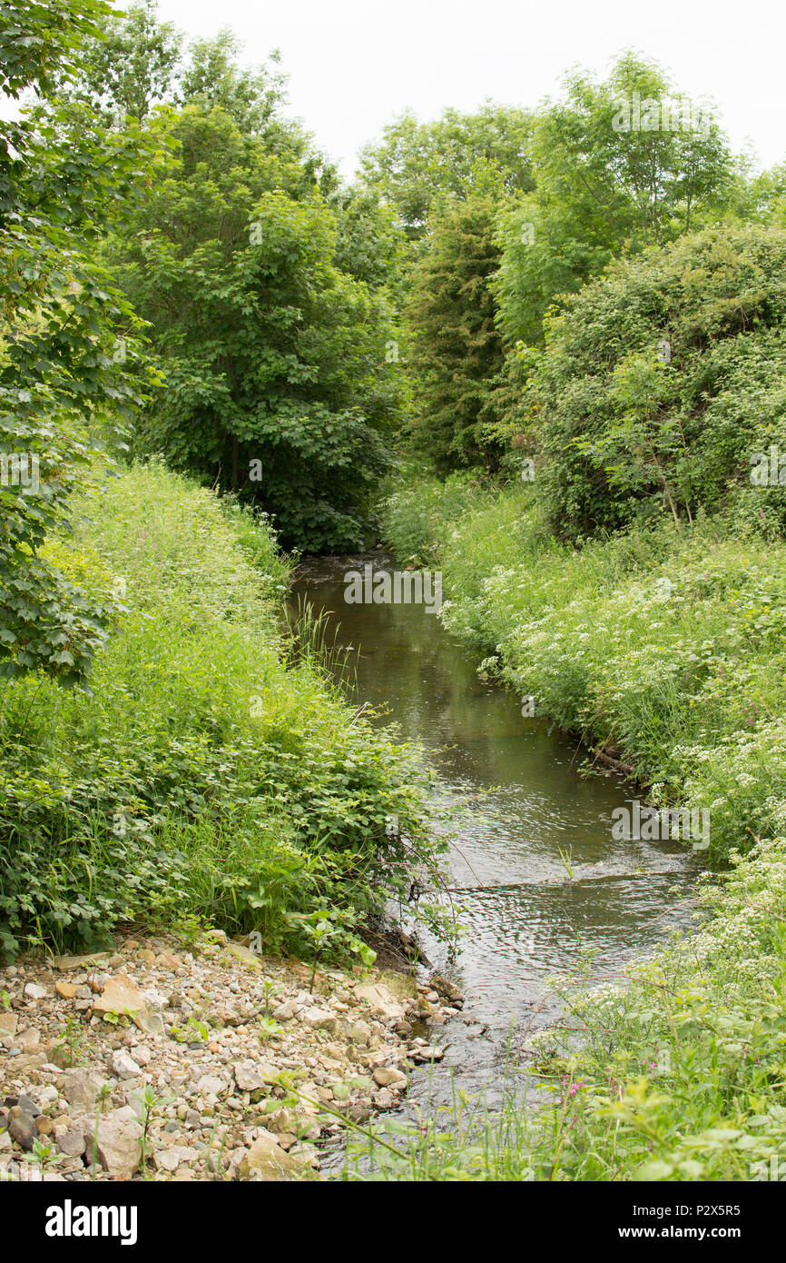 Looking downstream at the River Keer near Borwick in Lancashire viewed from High Keer bridge. The River Keer is a small river that for part of its cou Stock Photo