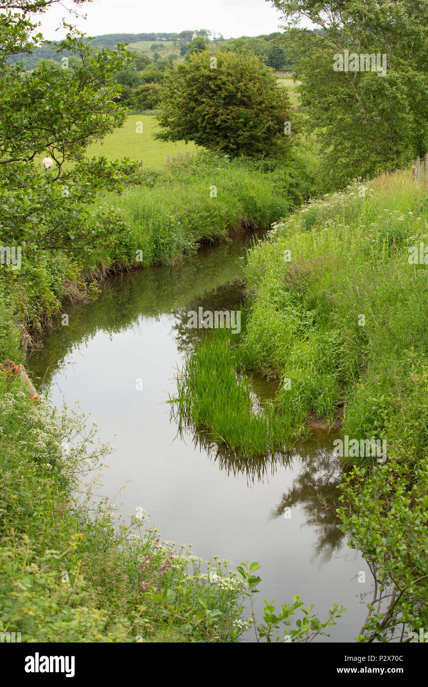 Looking upstream at the River Keer in Lancashire near Borwick viewed from High Keer bridge. The River Keer is a small river that for part of its cours Stock Photo