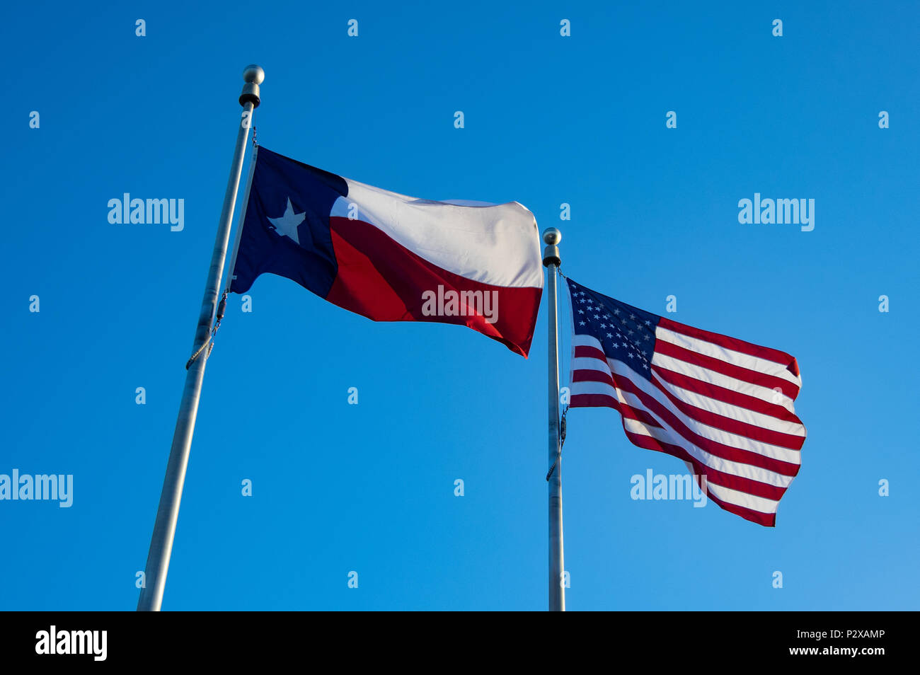 Texas Flag and United States Flag Waving in Sunlight with Blue Sky in