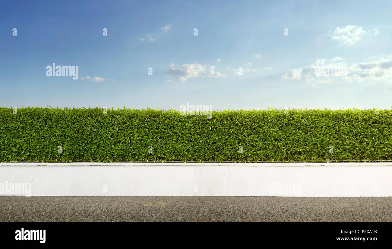 Empty street background hi-res stock photography and images - Alamy