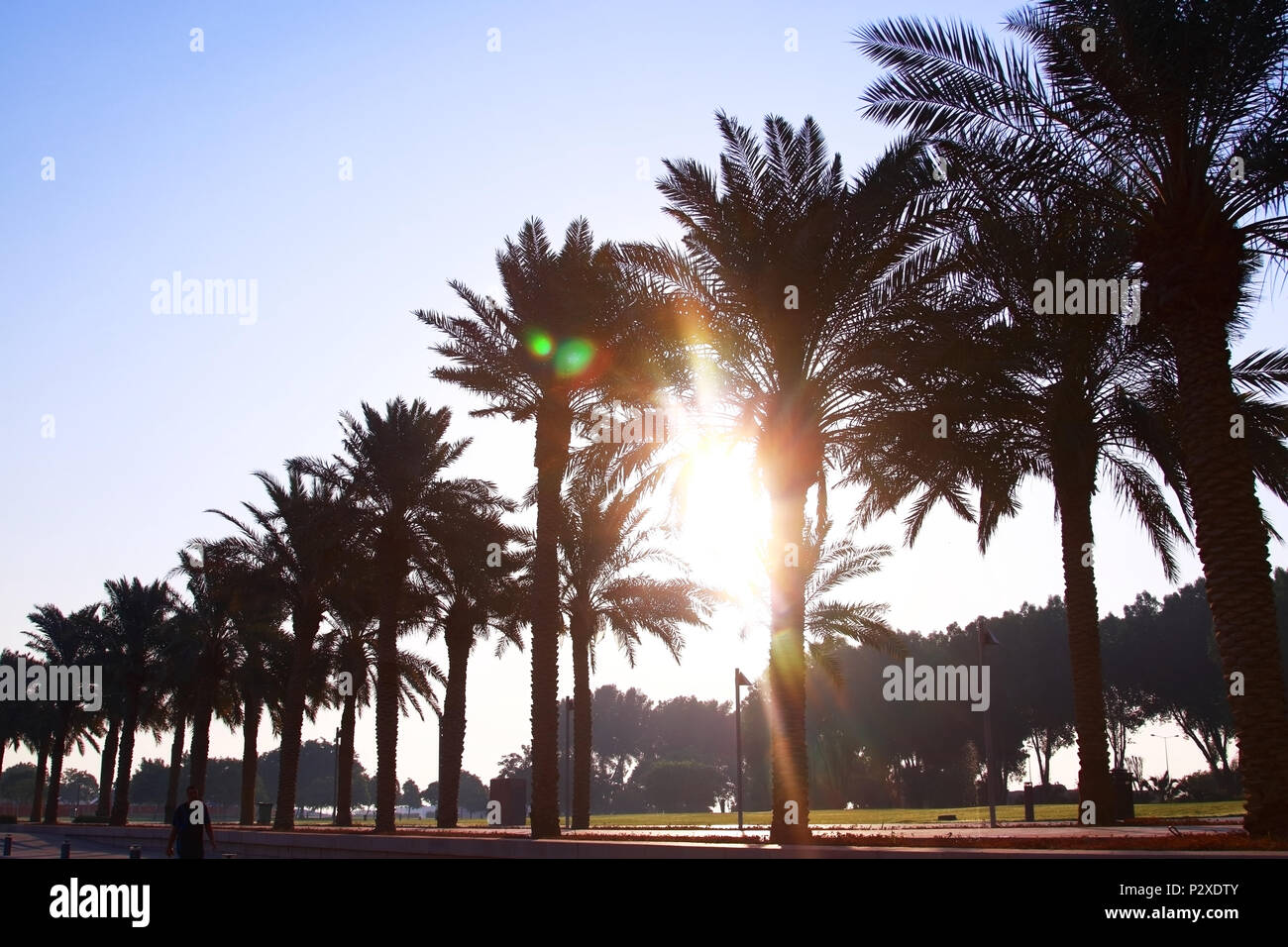 Doha qatar garden hires stock photography and images Alamy