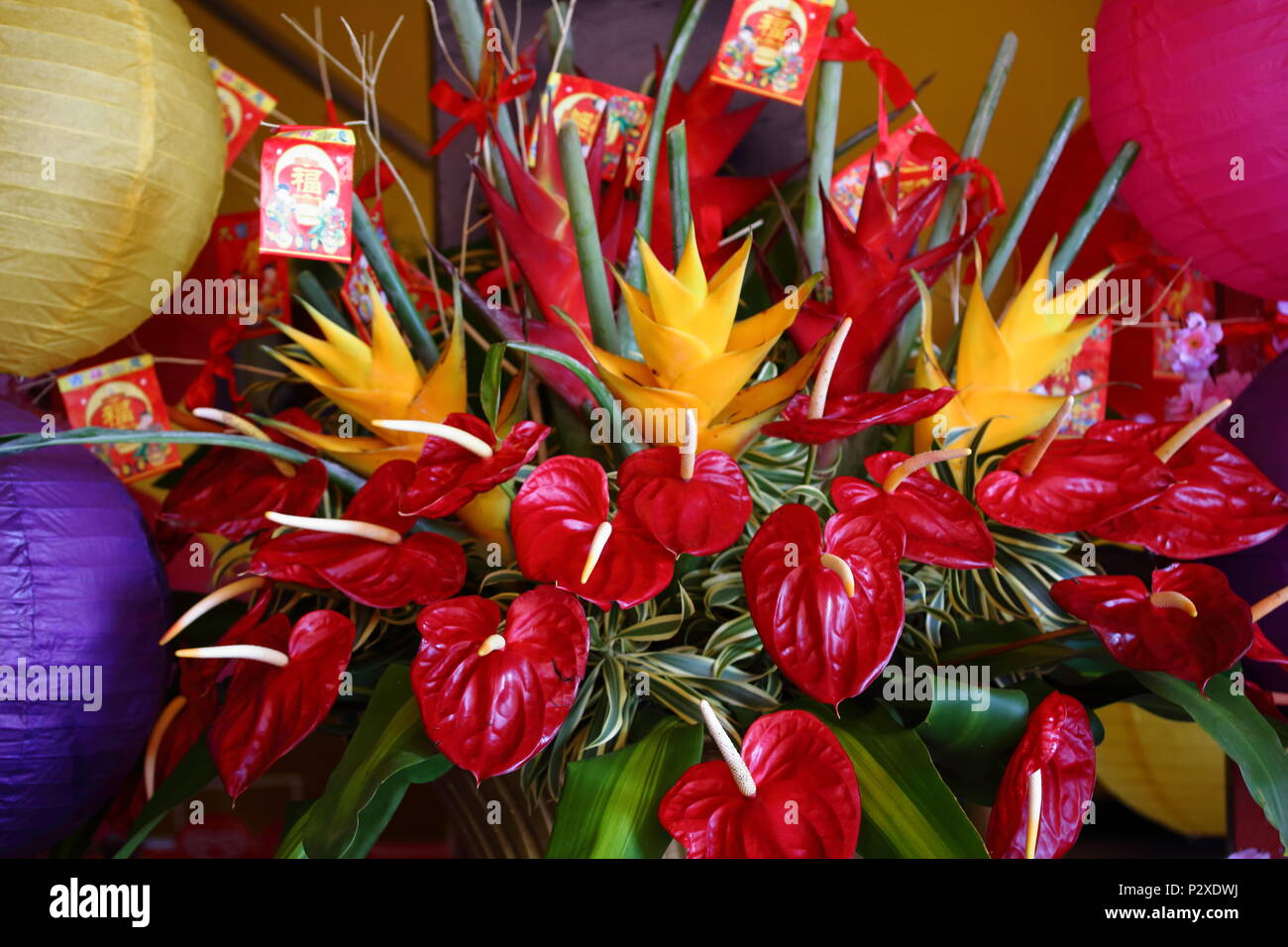 Red roses chinese hires stock photography and images Alamy