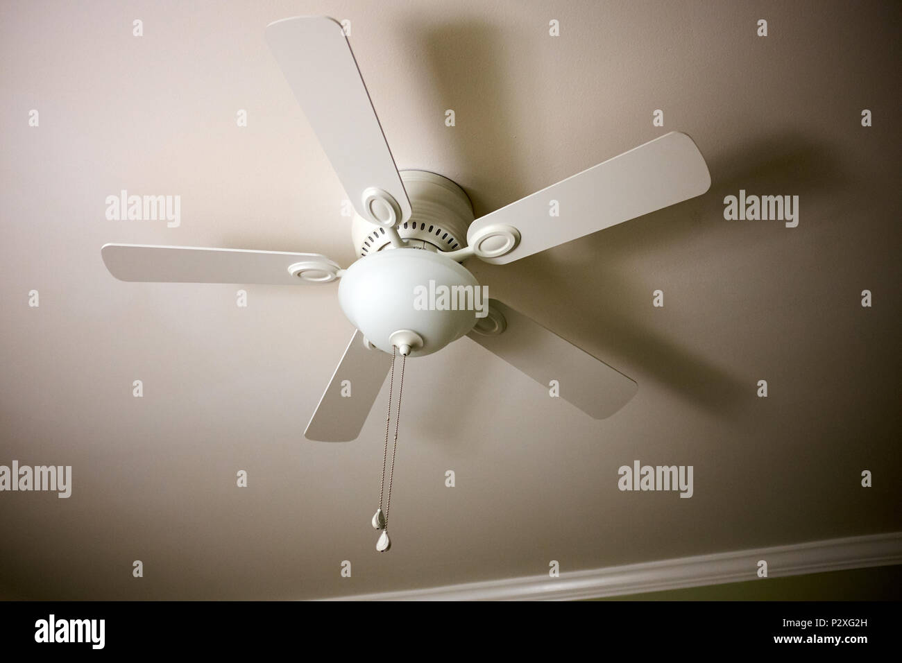 Ceiling fan and light fitting combination on the ceiling of a