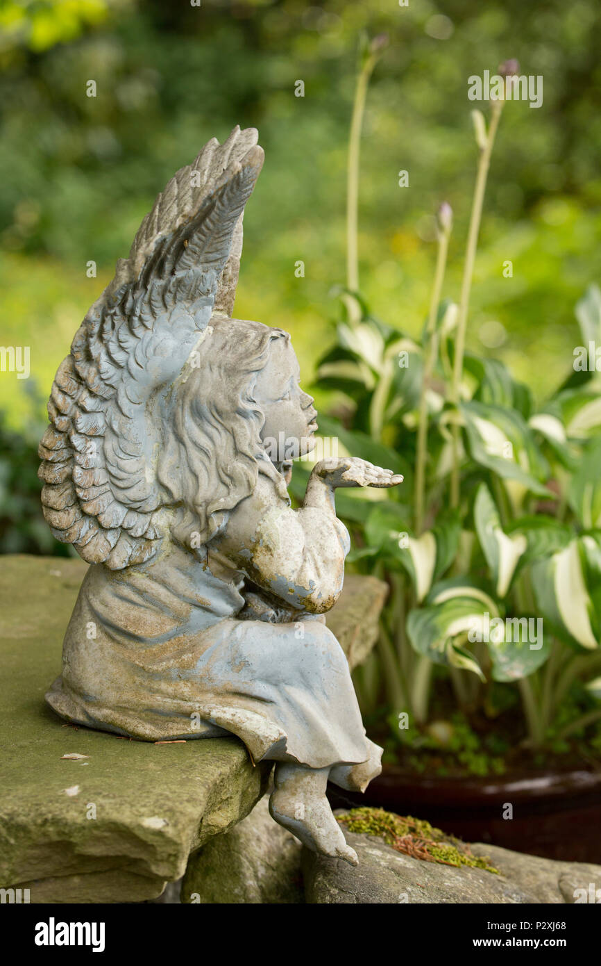 A stone figurine of a winged angel or fairy blowing a kiss and set near a garden pond. Lancashire North West England UK GB Stock Photo
