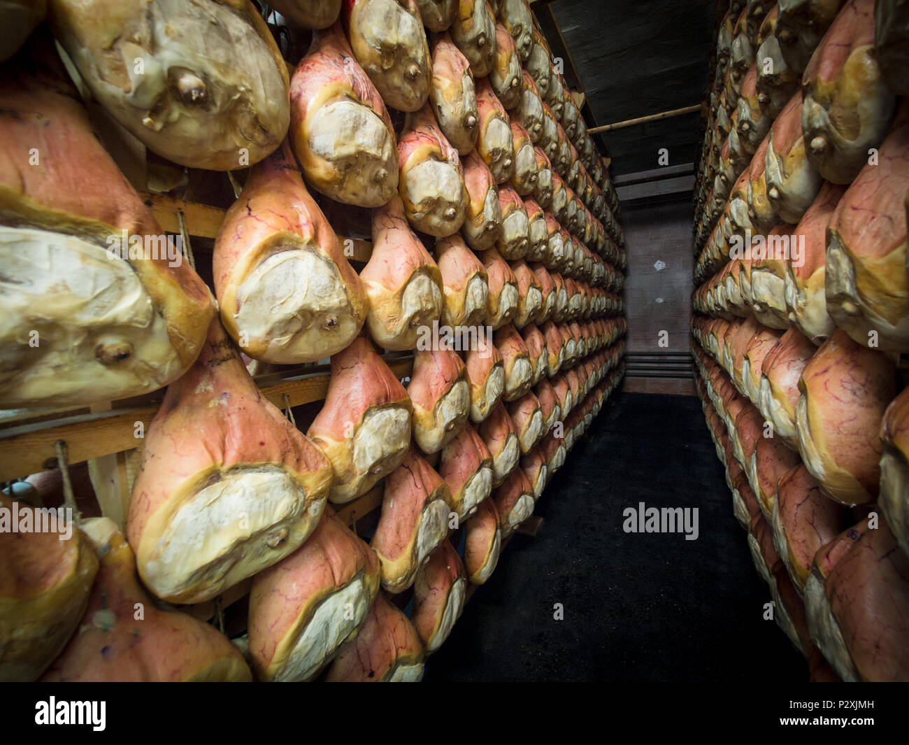 Thighs of ham during the curing process hanging in a cellar Stock Photo