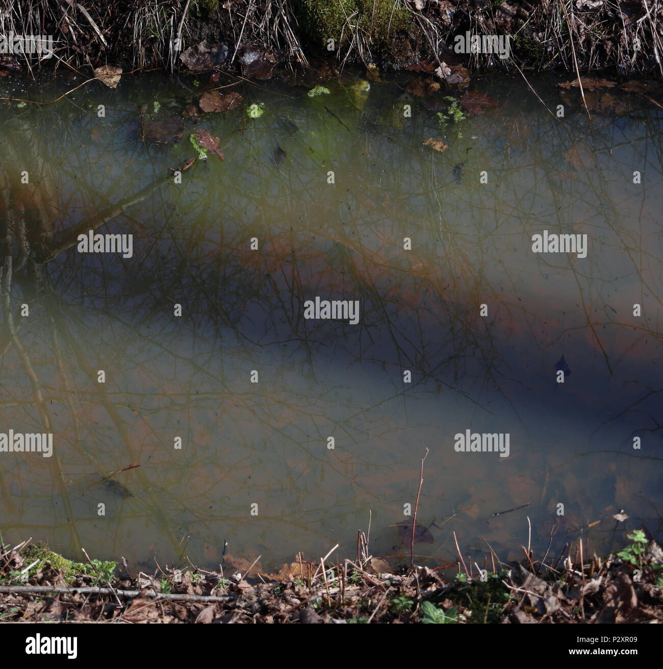 red and blue edges around shadow on water due to different scattering proporties Stock Photo