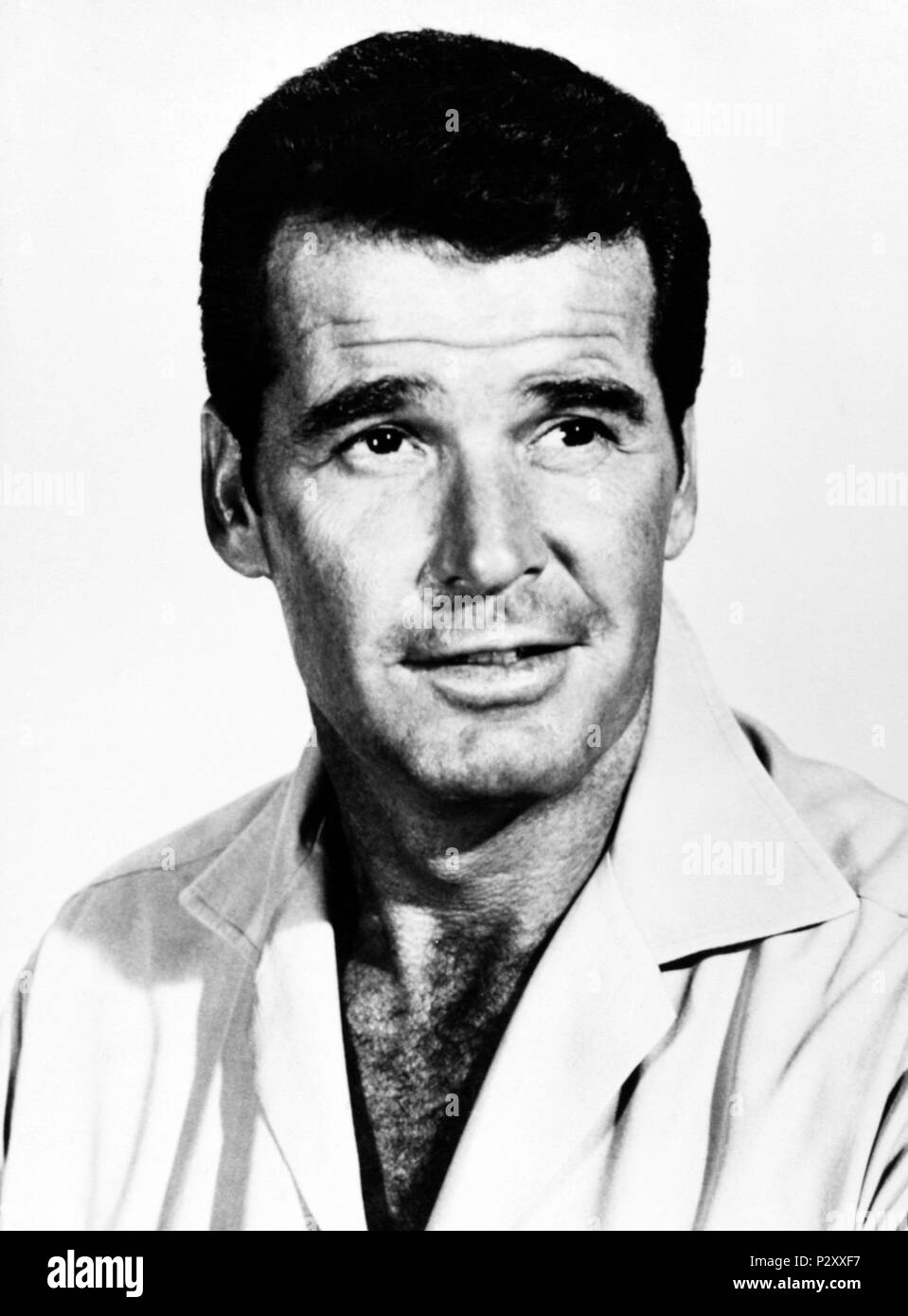 Original Film Title THE PINK JUNGLE. English Title THE PINK JUNGLE