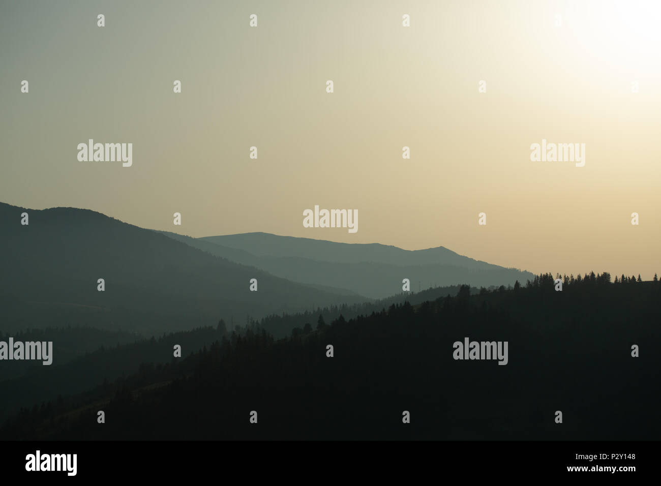 Panoramic view misty forest far hi-res stock photography and images - Alamy