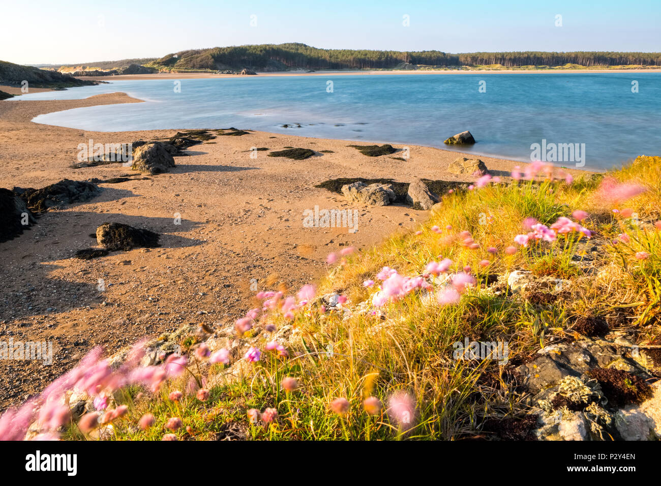 Llanddwyn Island near Newborough on the south west corner of the isle of Anglesey, Wales, UK Stock Photo