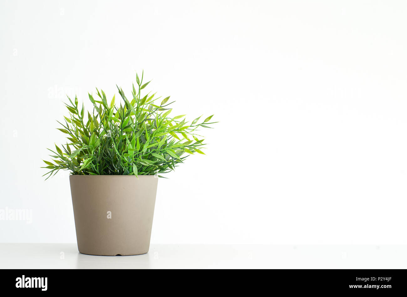 Fake house plants hires stock photography and images Alamy