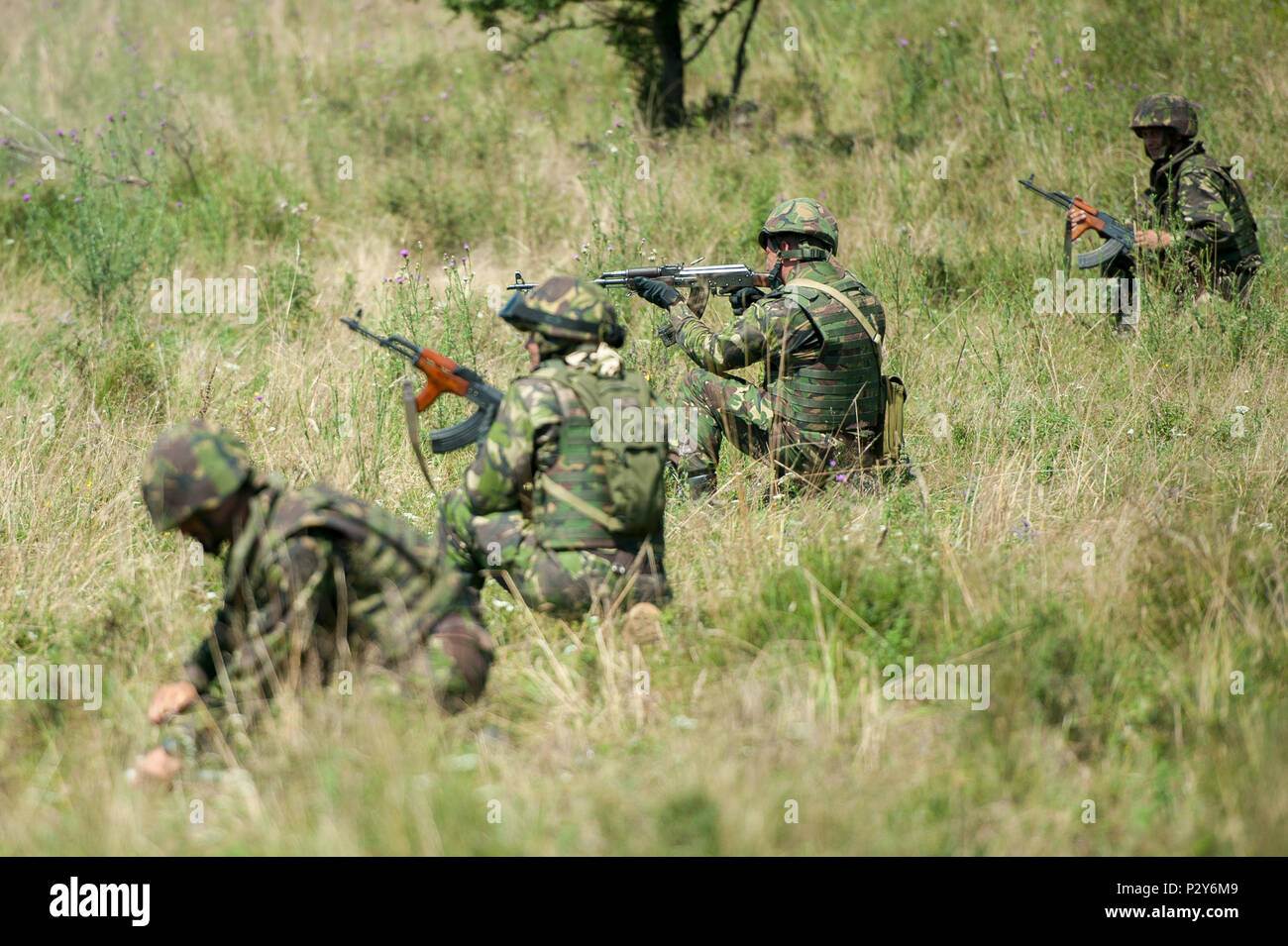 Canadian soldiers with Company C, 1st Battalion, Royal 22nd Regiment from Quebec City, Quebec fire various small arms during a combined arms live-fire exercise or (CALFEX) at the Romanian Land Force Combat Training Center (RLF-CTC) in Cincu, Romania, August 6. This CALFEX is part of Exercise Saber Guardian 16. Saber Guardian is as a multinational military exercise involving approximately 2,800 military personnel from ten nations including Armenia, Azerbaijan, Bulgaria, Canada, Georgia, Moldova, Poland, Romania, Ukraine and the U.S. (U.S. Army photo by Staff Sgt. Kyle J. Warner, 116th Cavalry B Stock Photo