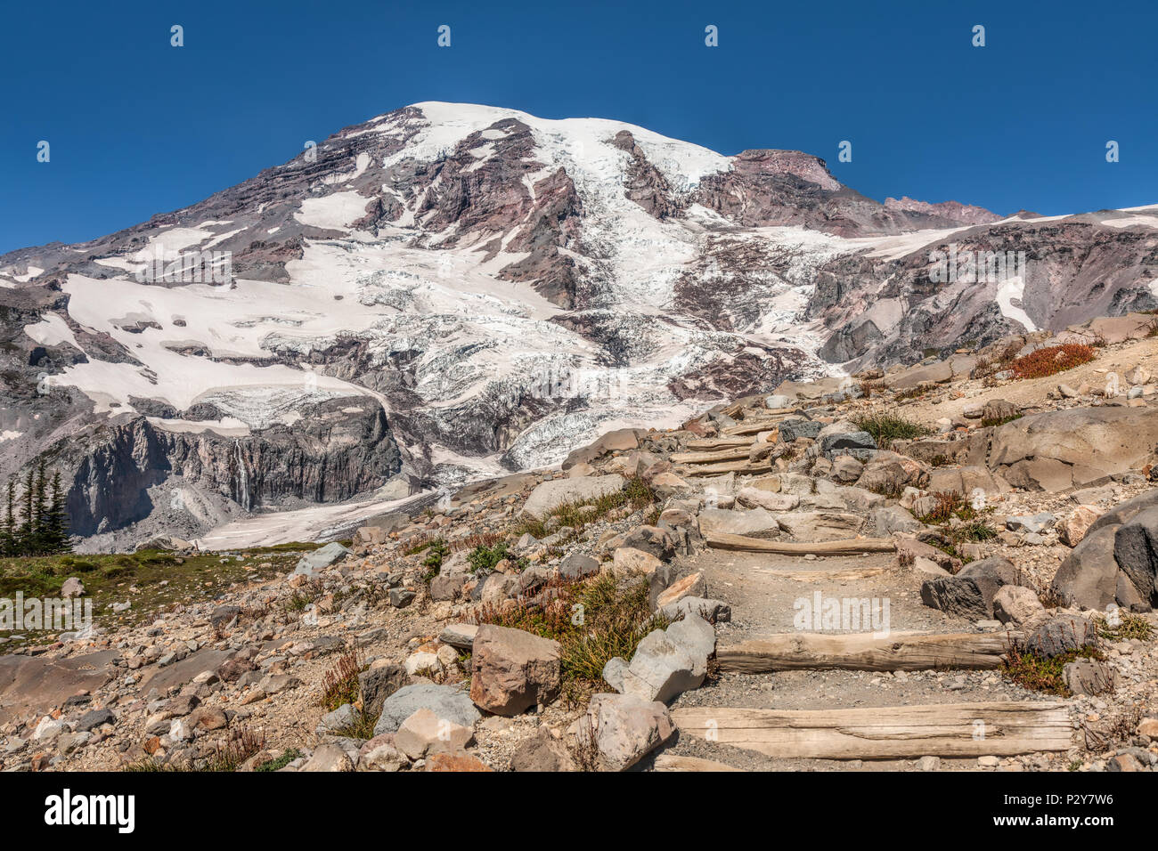 The glacier beauty of Mount Rainier greets the hiker. Mount Rainier ...