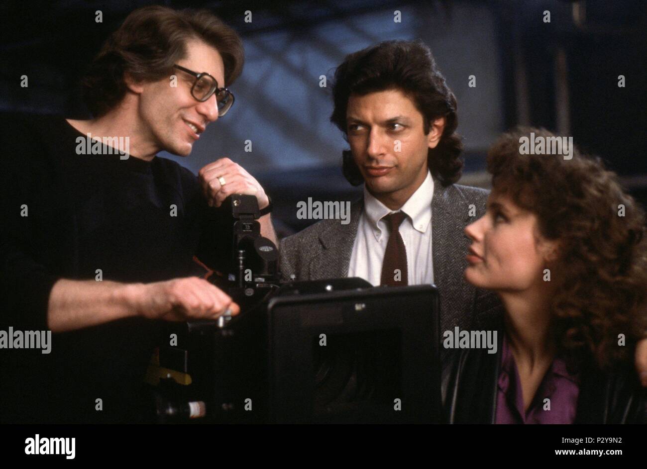 Original Film Title: THE FLY.  English Title: THE FLY.  Film Director: DAVID CRONENBERG.  Year: 1986.  Stars: DAVID CRONENBERG; GEENA DAVIS; JEFF GOLDBLUM. Credit: 20TH CENTURY FOX / Album Stock Photo